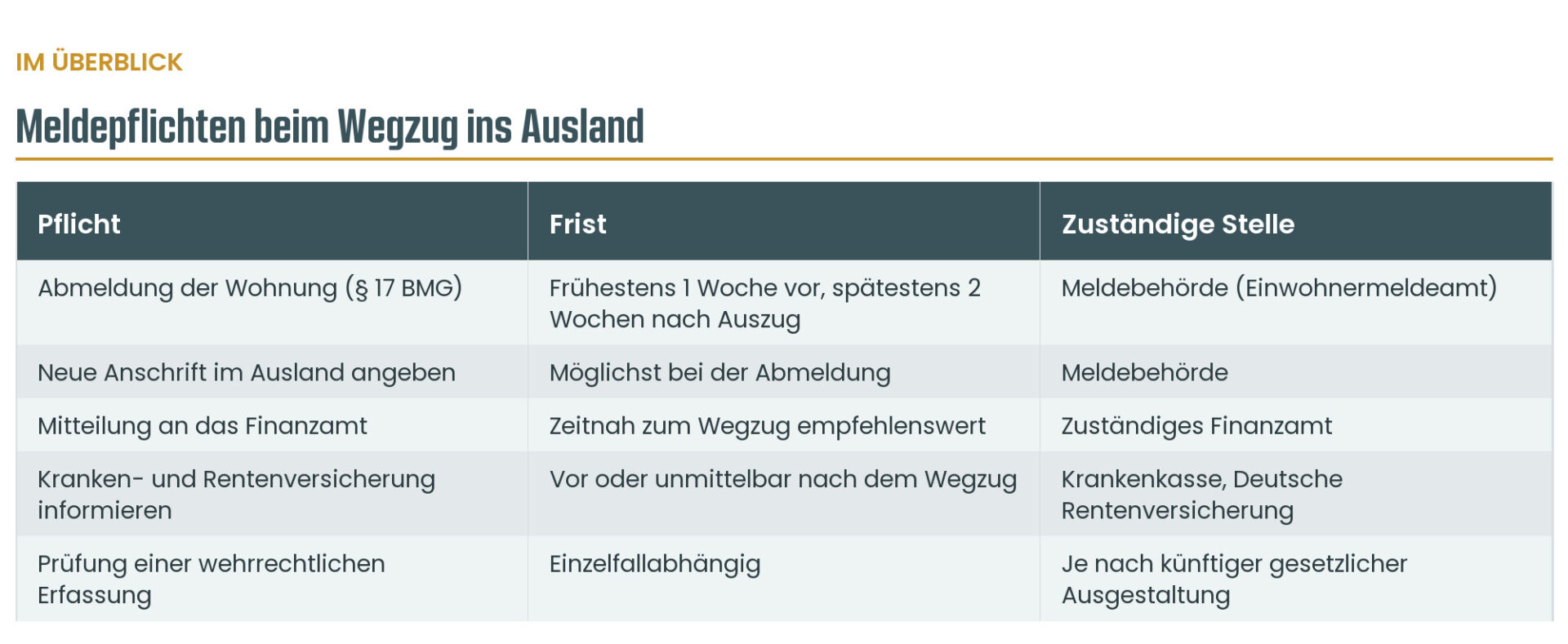 Infografik